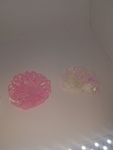 irridescent pink blue whiet  Flat carnation flowers for  capias favors crafts