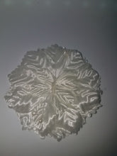 Flat carnation flowers for  capias favors crafts