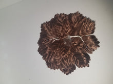 Flat carnation flowers for  capias favors crafts