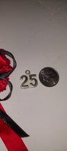 25 white and silver capia  guest pin charms $25